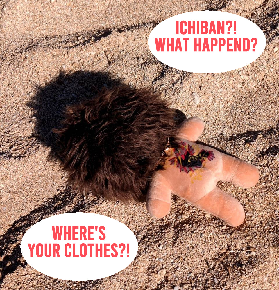 RGG Ichiban's Hawaii Outfit for 20 cm Doll